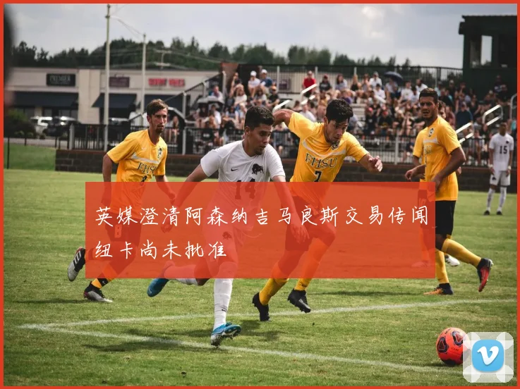 英媒澄清阿森纳吉马良斯交易传闻纽卡尚未批准