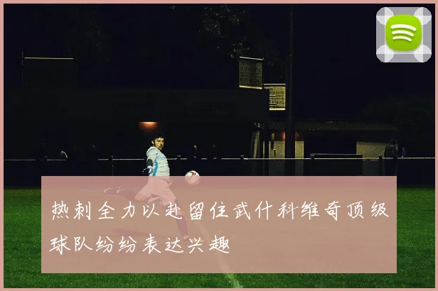 热刺全力以赴留住武什科维奇顶级球队纷纷表达兴趣