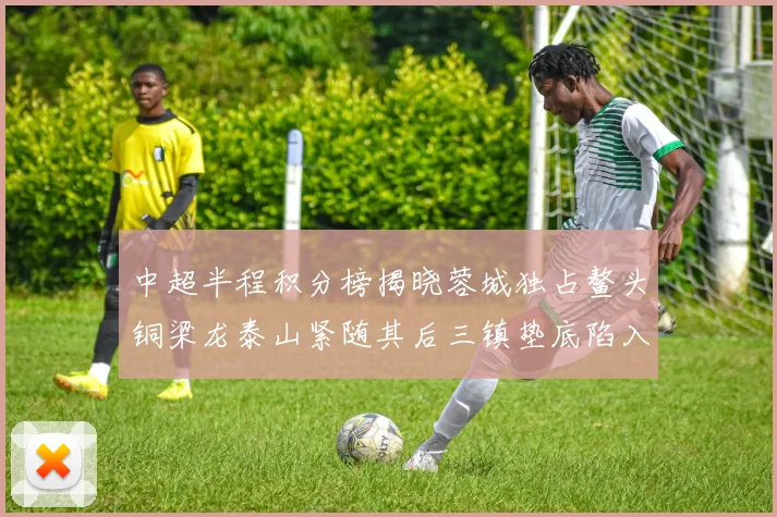 中超半程积分榜揭晓蓉城独占鳌头铜梁龙泰山紧随其后三镇垫底陷入困境